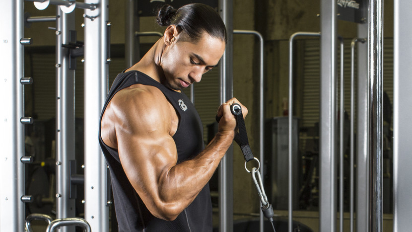 ထိရောက်သောလက်မောင်းသင်တန်းအတွက် Bicep curl စက်ကိုအသုံးပြုနည်း